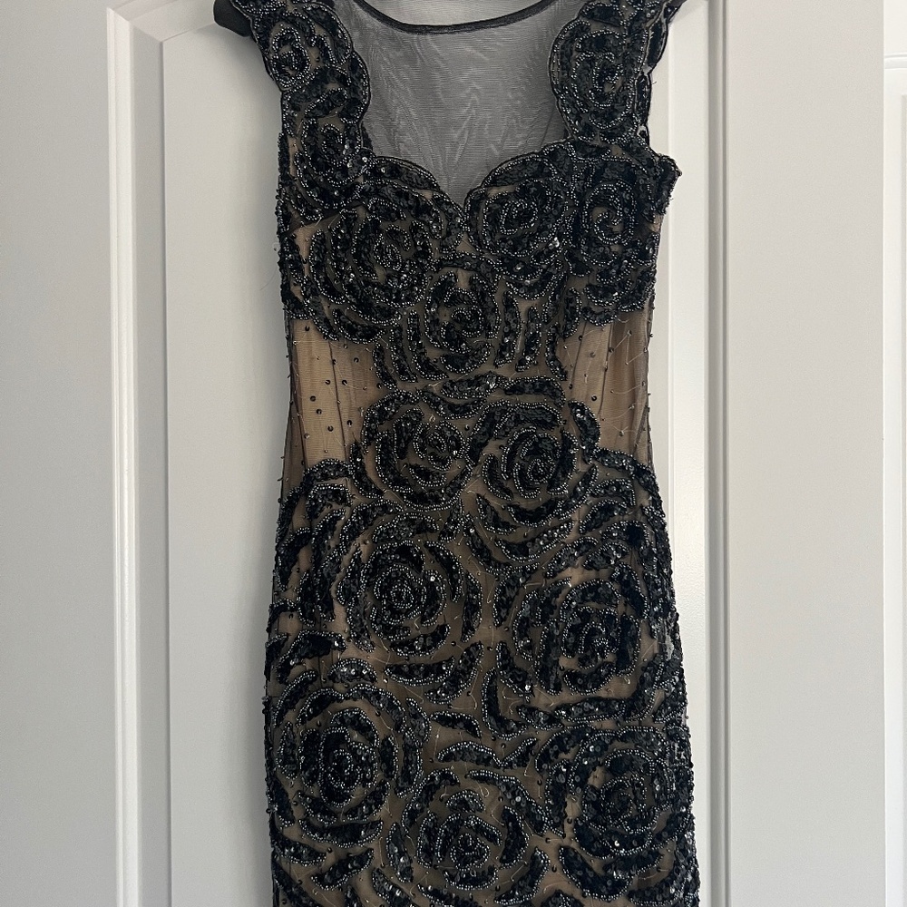 Basix Black Label Beaded and Sequin Dress with Mesh Top and Back